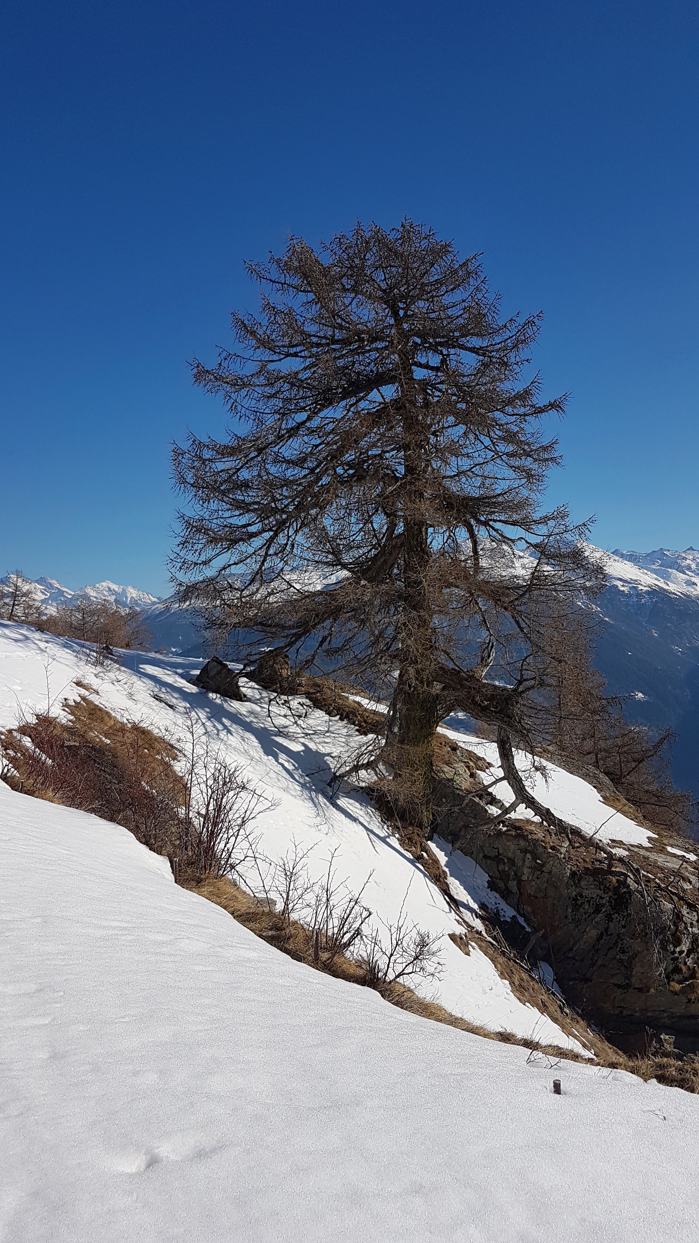 Valais2022-46